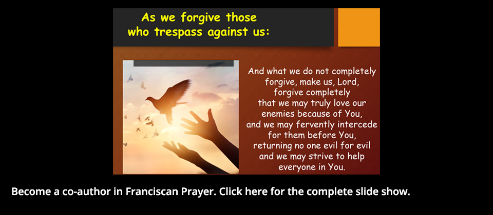 the secular franciscan order was established by st.